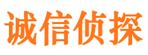 夷陵市婚外情调查